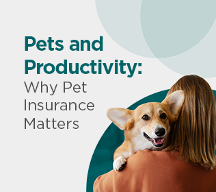 Pets and Productivity: How Pet Insurance for Employees Lowers Stress and Improves Business Outcomes