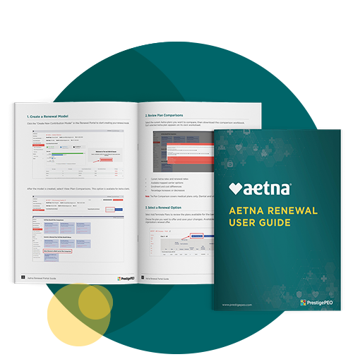 Aetna LP Renewal Portal Guide Comp 26v1 2 Aetna Renewal User Guide